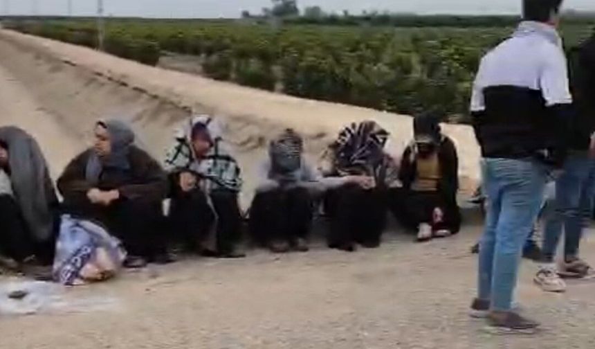 Adana'da trafik kazası: 1'i ağır 7 tarım işçisi yaralandı