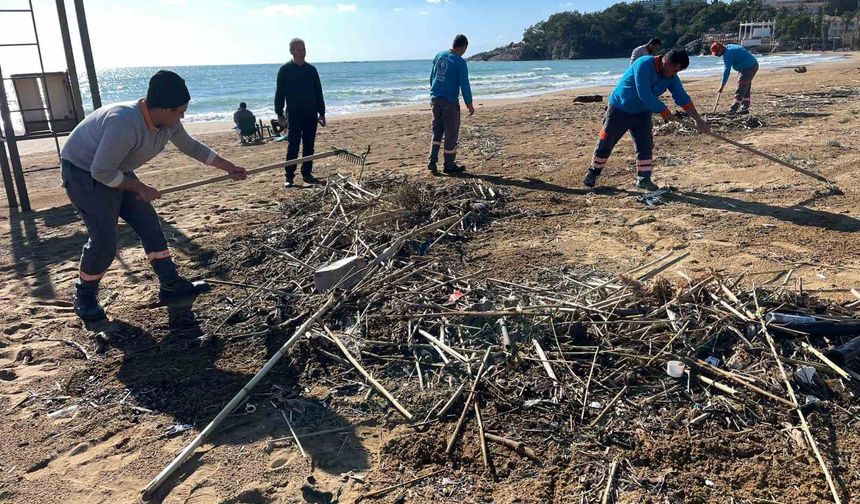 Alanya'da fırtına sonrası plajlarda temizlik yapıldı