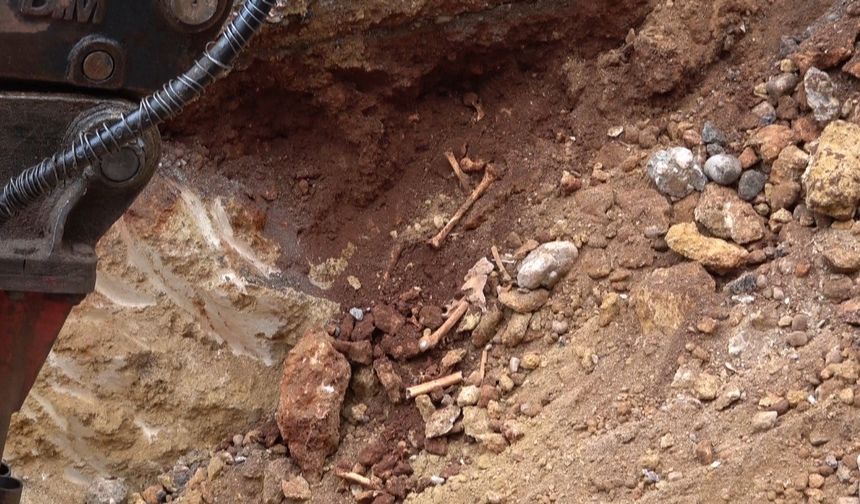 Antalya'da belediye kazısında kemik parçaları bulundu