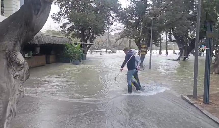 Manavgat Irmağı'nda su debisi yükseldi, işletmeleri su bastı