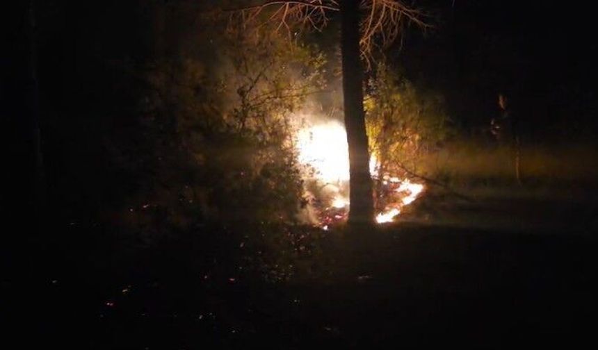 Alanya'da ormanlık alanda çıkan yangın büyümeden söndürüldü