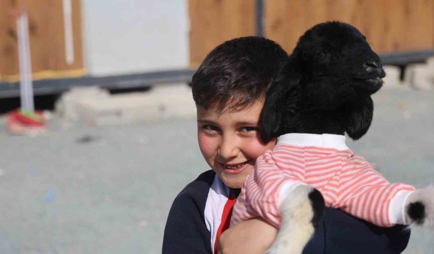 Annesi doğumda telef olan 'Boncuk' kuzu, elbisesi ve biberonuyla ilgi odağı oldu