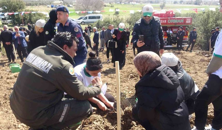 Burdur'da zeytin ve fıstıkçamı fidanları toprakla buluştu