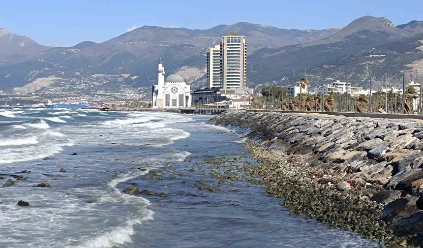 İskenderun Körfezi'nde denizde çekilme yaşandı