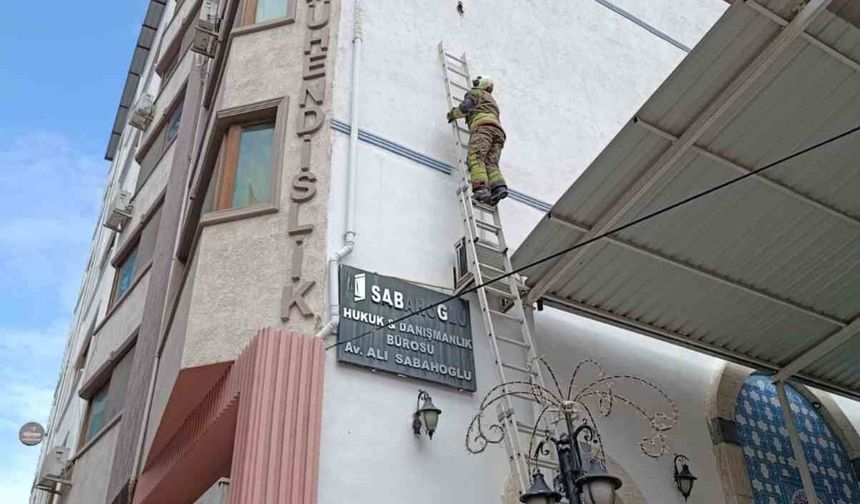 İskenderun'da ipe dolanan kuş kurtarıldı