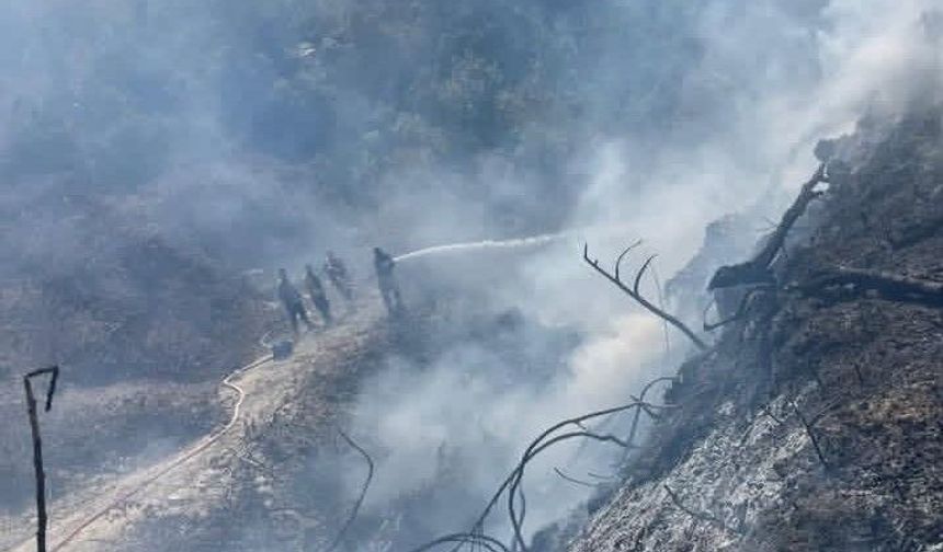 Samandağ'da bahçede çıkan yangın büyümeden söndürüldü