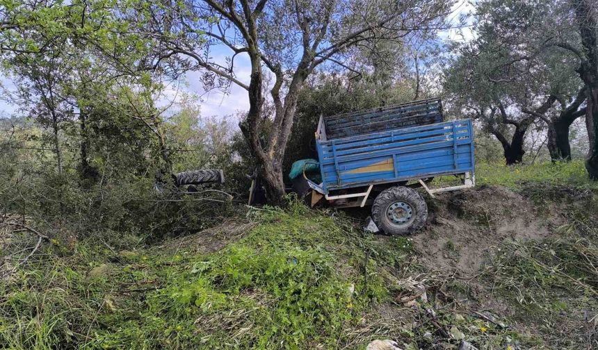 Zeytin bahçesine uçan patpatın sürücüsü öldü