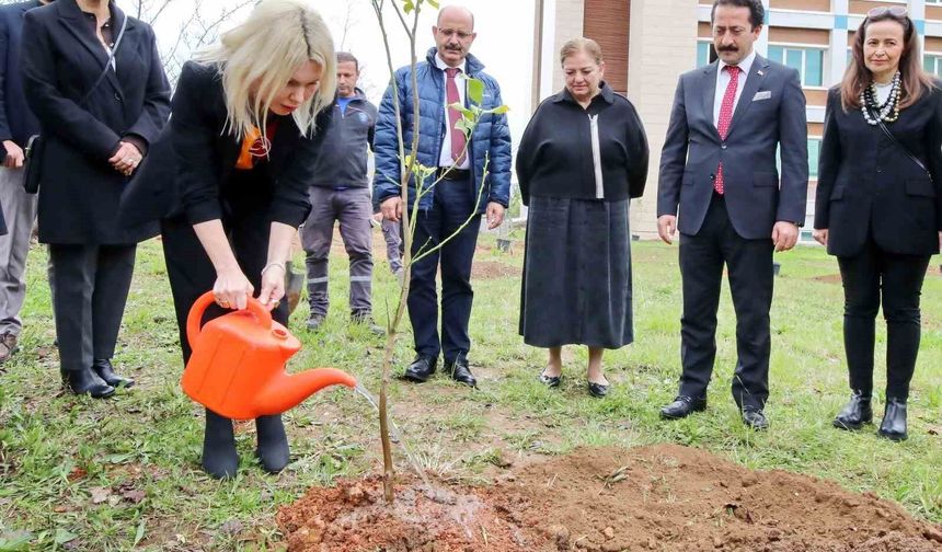 Akdeniz Üniversitesi'nde son 2 yılda 5 bin fidan dikildi