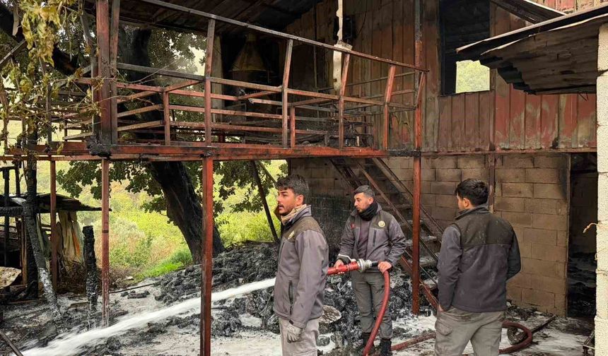 Alanya'da müstakil ev yangını korkuttu