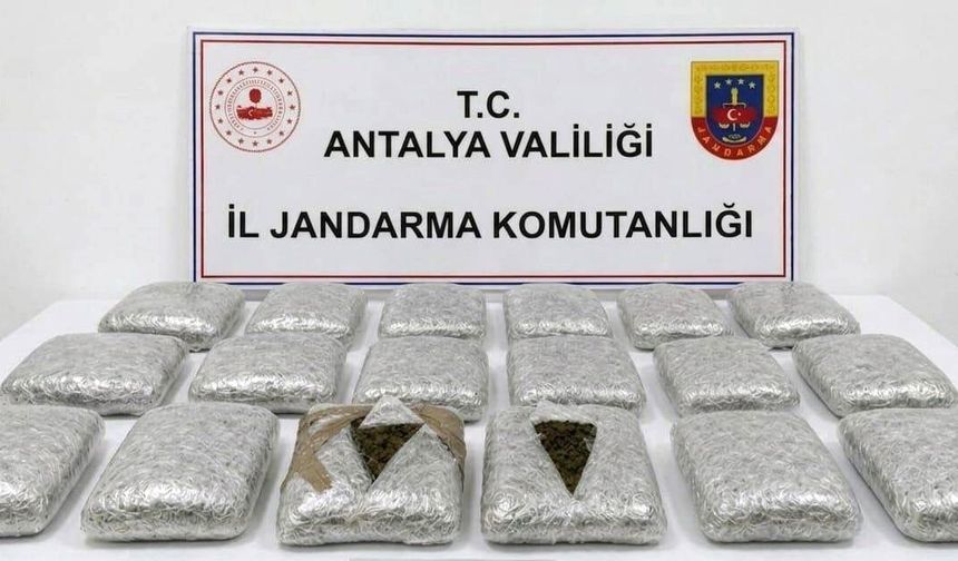 Antalya'da jandarmadan uyuşturucu operasyonu: 30 kilogram skunk maddesi ele geçirildi