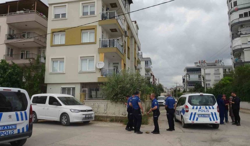 Aracın anahtarını vermeyen annesine sinirlenince eve pompalı tüfekle ateş açtı