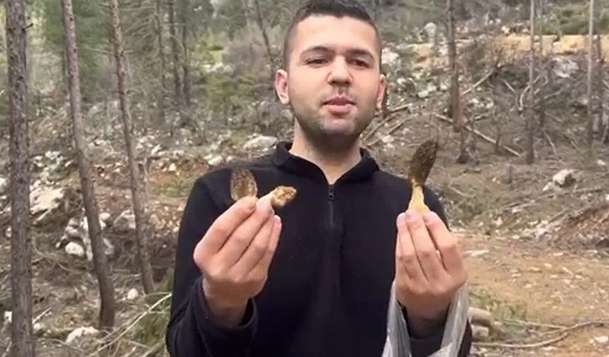 Feke'de kuzu göbeği bereketi