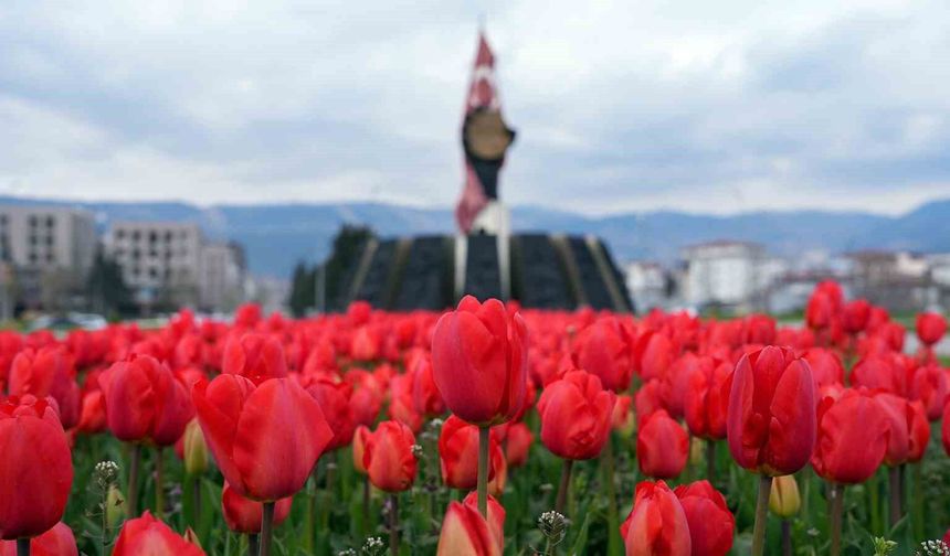 Kahramanmaraş'ta kavşaklarda görsel şölen