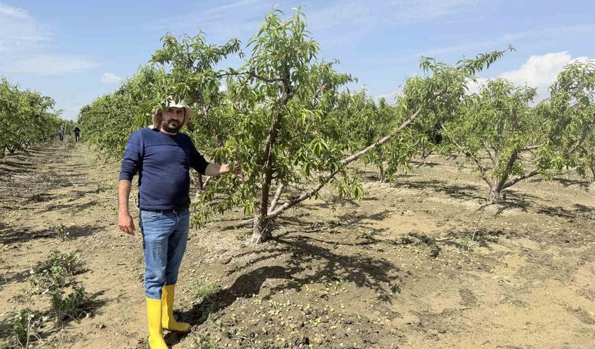 Mersin'de selin ardından bahçelerde sular yeni çekildi