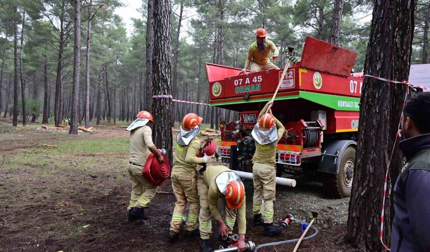 Ormancılar Antalya'da kıyasıya yarıştı