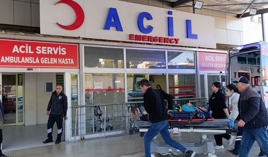 Tarım işçilerini taşıyan minibüs devrildi: 15 yaralı