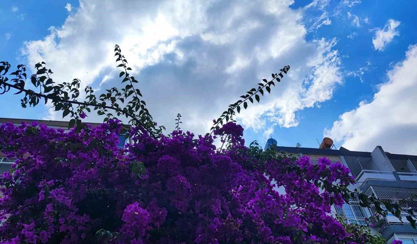 Adana iki gün yağmurlu, hafta sonu sıcaklık artacak