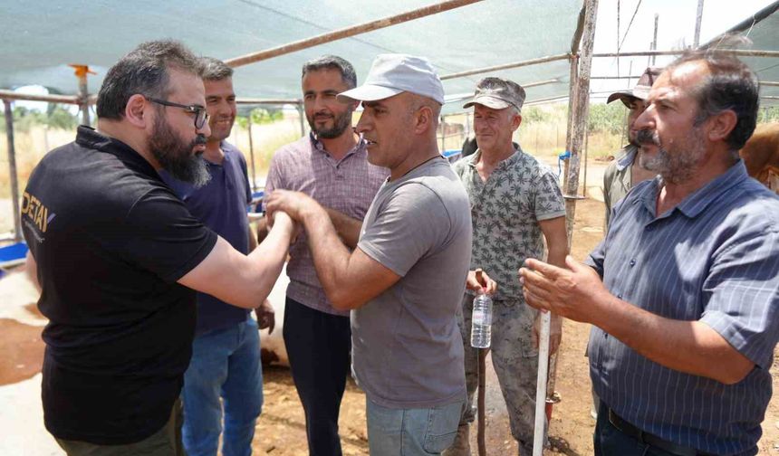 Antalya'da kurban pazarında son kozlar oynandı: 'Zor belayla aldık, çok pazarlığını yaptık'