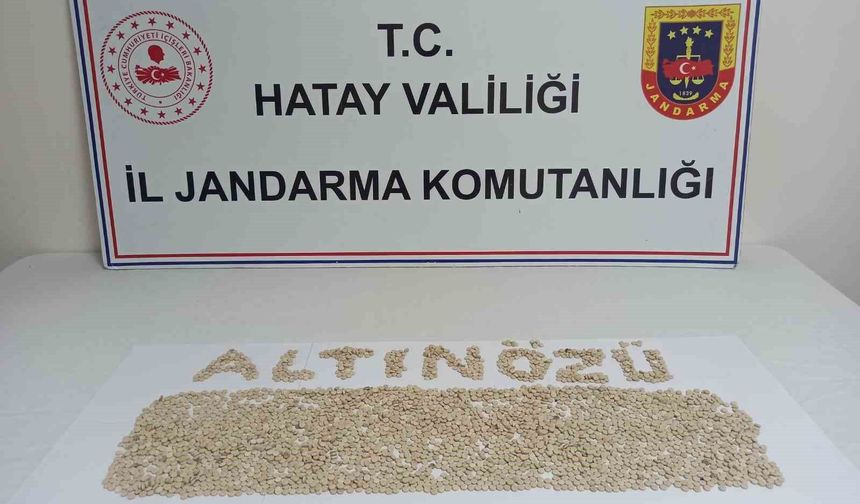 Hatay'da Jandarma'dan geniş çaplı asayiş operasyonu