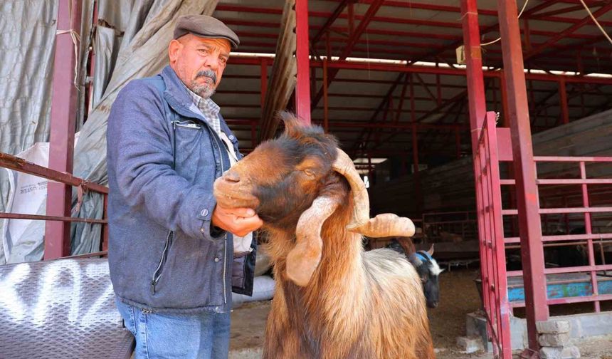 Kahramanmaraş'ta kurbanlık fiyatlarında esnaftan indirim kararı