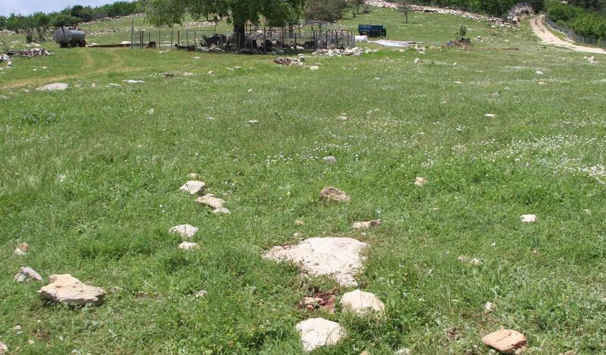 Katilin intihar ettiği yer görüntülendi: 'Fail kaçamayacağını anlayınca intihar etmiş'