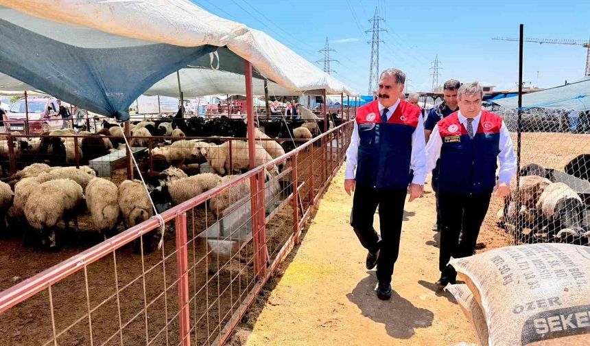 Mersin'de Kurban Bayramı öncesi satış noktalarında sıkı denetim