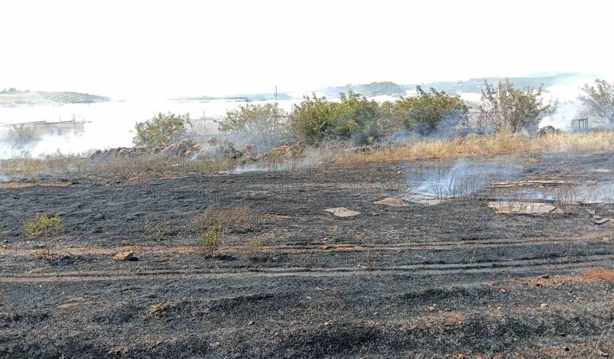 Antalya'da otluk alan yangını itfaiye ekiplerince söndürüldü