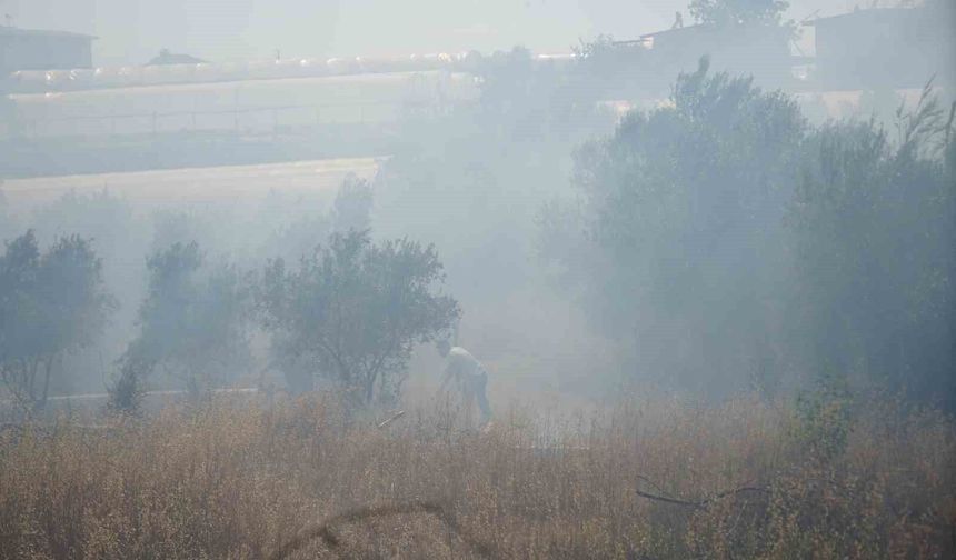 Antalya'da sera ve evleri tehdit eden yangın mahalleliyi korkuttu