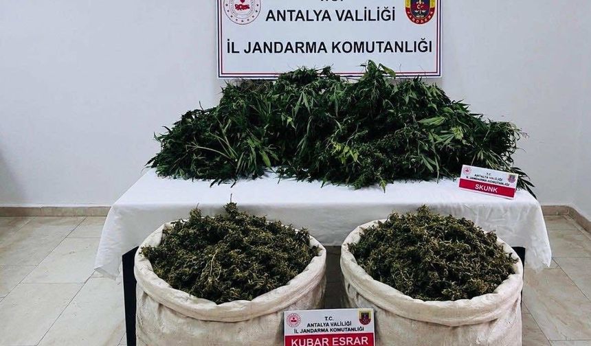 Antalya'da uyuşturucu operasyonunda 11 kilo 100 gram kubar esrar ele geçirildi