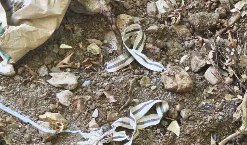 Devriye gezen jandarma son anda fark etti, bir hayat kurtuldu