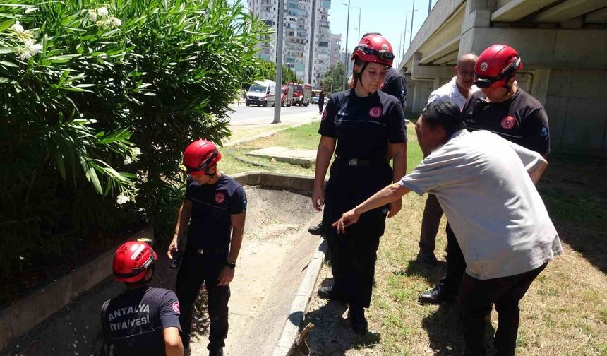 Düştü diye ihbar ettiği babası bile düşmediğine ikna edemedi