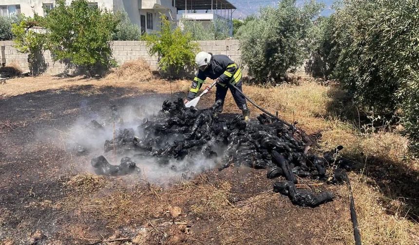 Hassa'da bahçe yangını