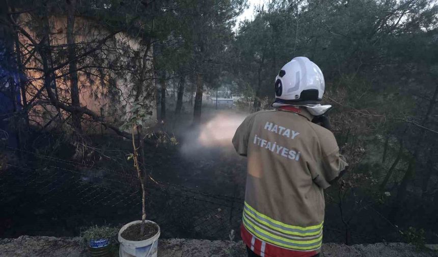 Hassa'da çamlık alan yangını