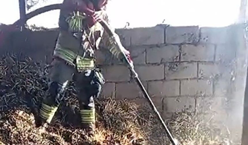 Kahramanmaraş'ta ahır yangını korkuttu