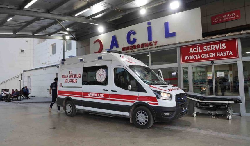 Kız alıp verme husumeti kanlı bitti: Baba ve oğlu öldürüldü