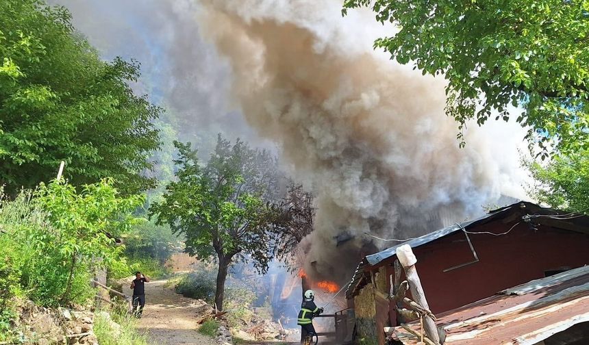 Kozan'da yayla evindeki yangın ormana sıçradı, ekipler müdahale ediyor
