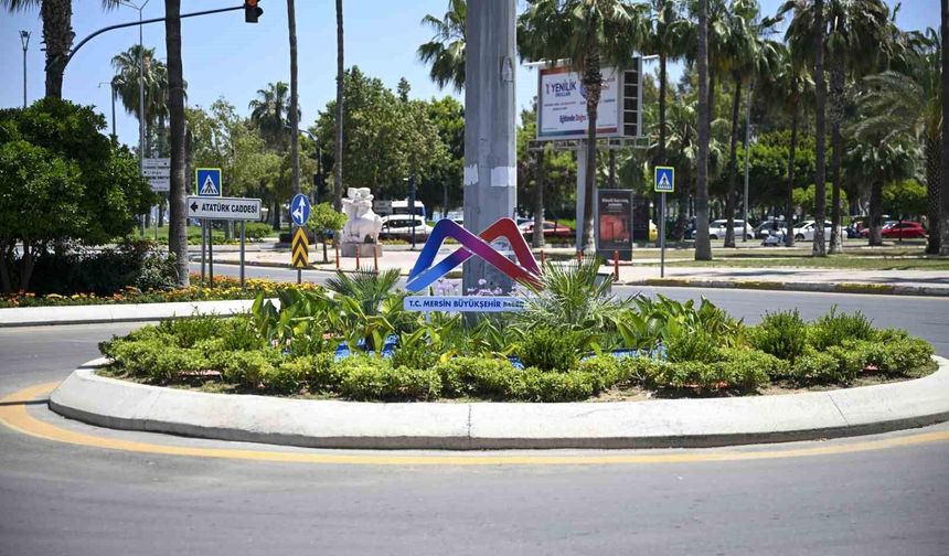 Mersin'i yaz çiçekleri süslüyor
