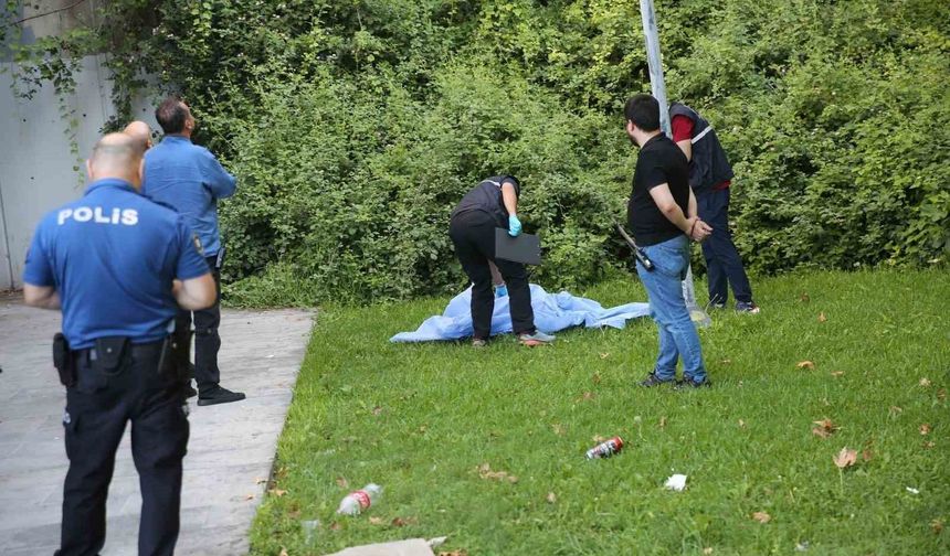 Panaromik asansörde manzara izlerken düşerek hayatını kaybetti