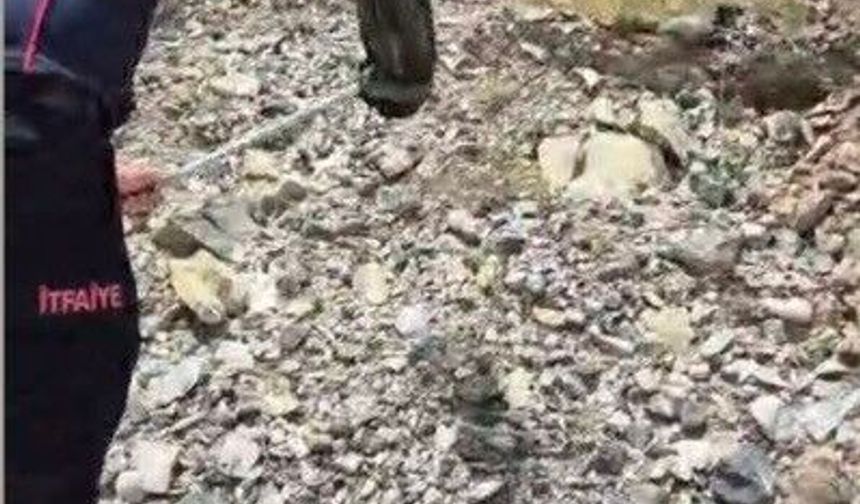 Yatak ve halıların arasına saklanan yılanı itfaiye buldu