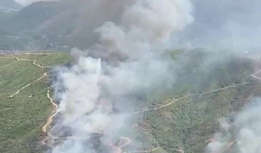 Alanya Sapadere Kanyonu'nda ormanlık alanda yangın