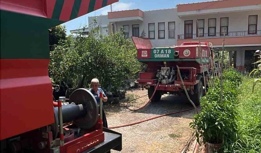 Alanya'da avokado bahçelerinin bulunduğu zirai alanda yangın