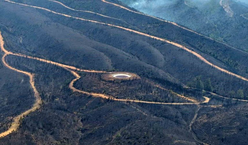 Alanya'daki orman yangınında şu ana kadar 305 dekar alan etkilendi