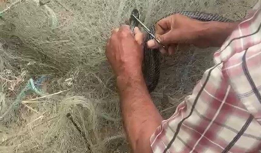 Balık ağında mahsur kılan yılanı elleriyle kurtardı