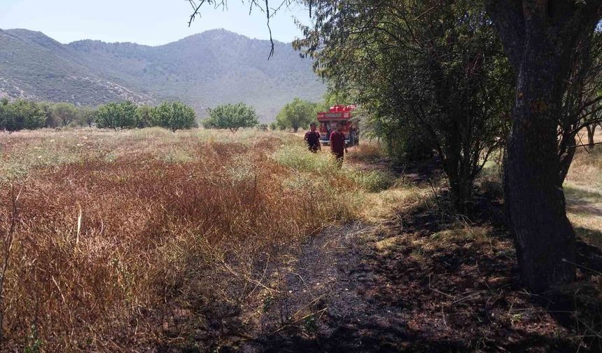 Burdur'da tarlada yangın
