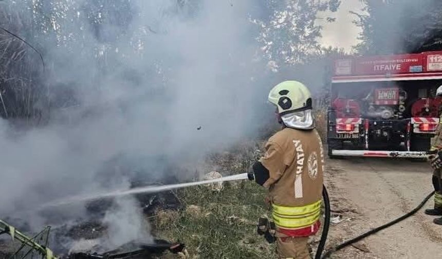 Defne'de sazlık alan yangını büyümeden söndürüldü