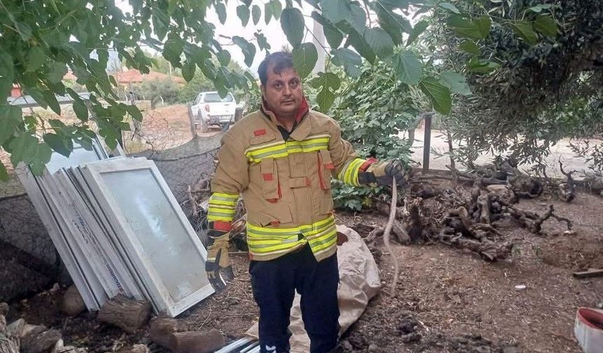Hatay'da yerleşim alanlarında görülen yılanlar doğal yaşam alanına bırakıldı
