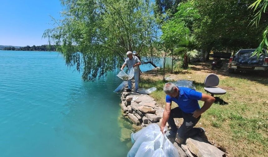 Manavgat'ta 400 bin balık yavrusu baraj gölünde bırakıldı