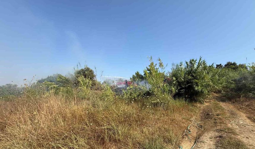 Manavgat'ta kamışlık alanda çıkan yangın söndürüldü