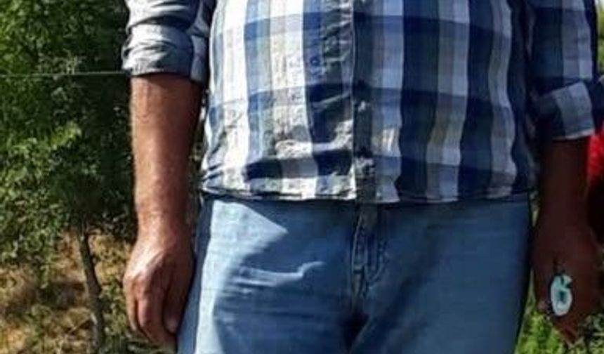 Sabah süt sağmaya inmişti, elektrik akımından hayatını kaybetti