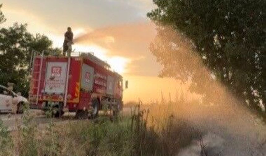 Tır lastiğinde çıkan yangın tarlaya sıçramadan söndürüldü